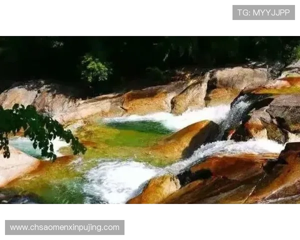 加入葡京电玩城会员享受专属福利和每日签到礼遇