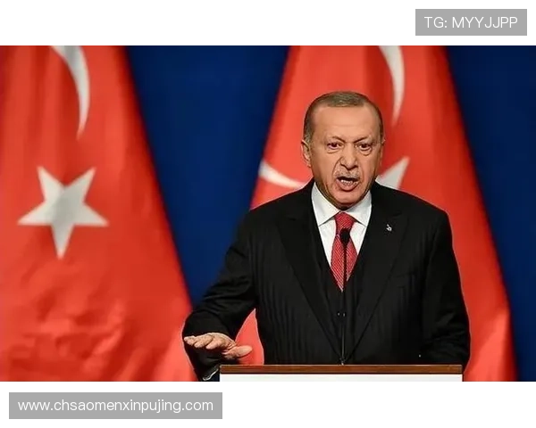 新普京是干嘛的：探究新普京的主要工作内容和未来发展方向