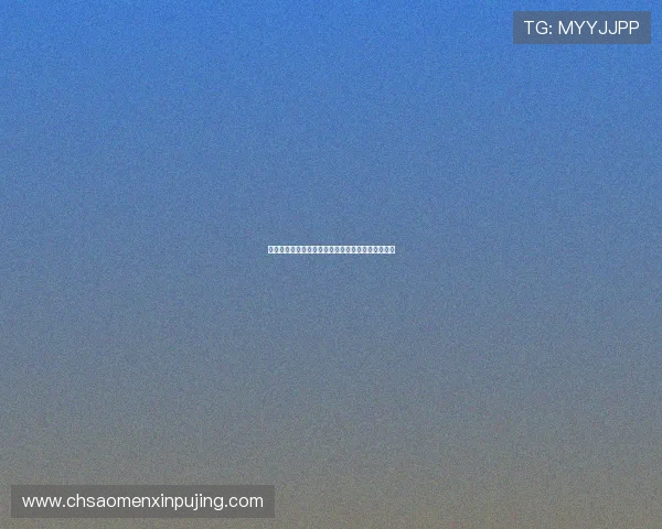 新葡京现金开户需要准备的资料与注意事项详尽说明