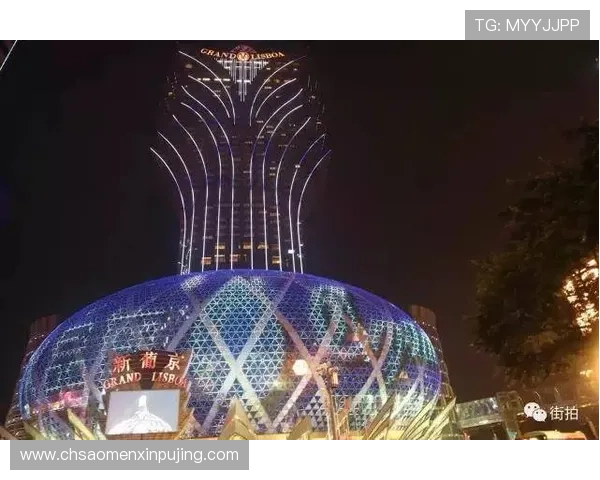 新葡京网站登录入口：常见登录问题及解决方案全攻略