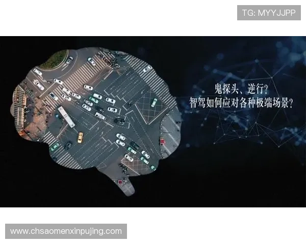 新普京在线娱乐官网网页版下载常见问题解答，解决下载安装过程中遇到的各种难题