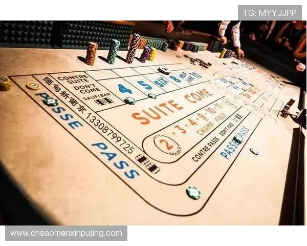 澳门新京网娱乐app功能全面介绍及使用技巧提升您的游戏体验