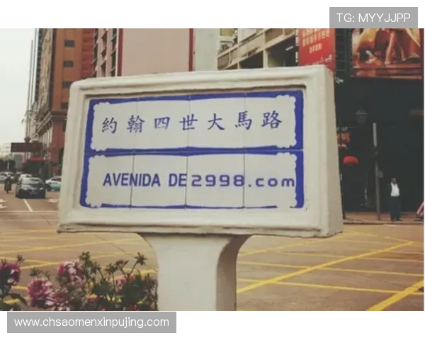 澳门新葡京娱乐城最新优惠活动全面解析助你轻松享受豪华娱乐体验