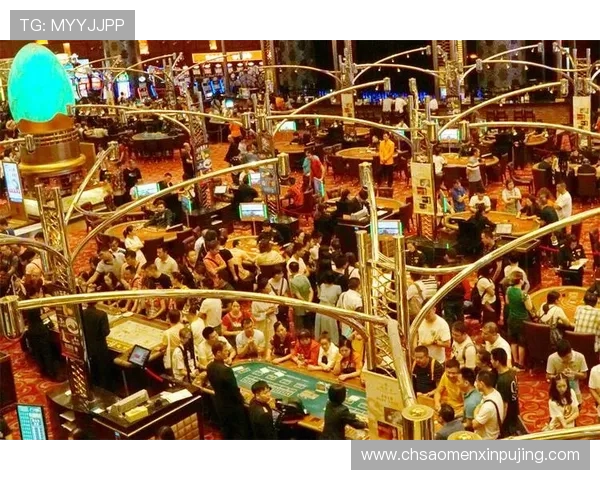 澳门葡京网在线娱乐游戏种类丰富满足不同玩家的多样需求