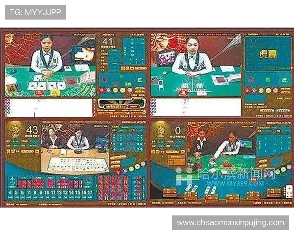 六合彩国际登录入口最新更新，提供多样化的游戏玩法与高效的客户服务