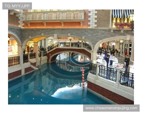 普京娱乐城客户服务与投诉处理流程详解保障玩家权益