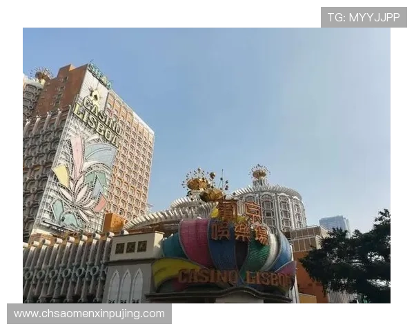 澳门新京官网网页版最新优惠活动与玩家福利领取指南