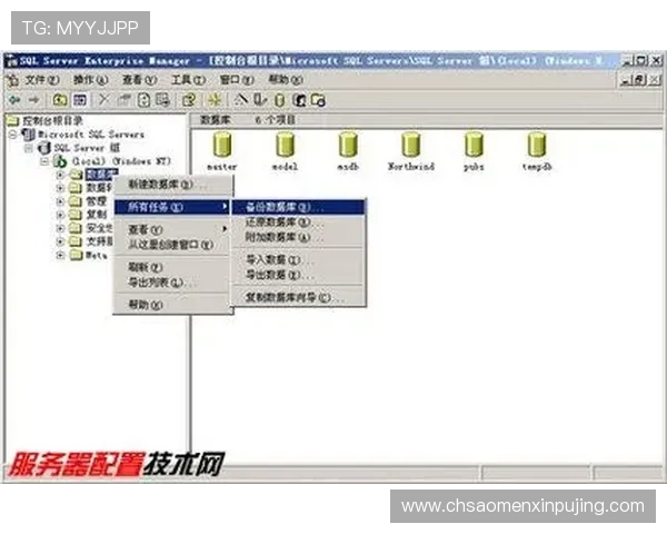 葡京官网平台如何保障玩家资金安全,详细介绍安全措施与风险控制策略